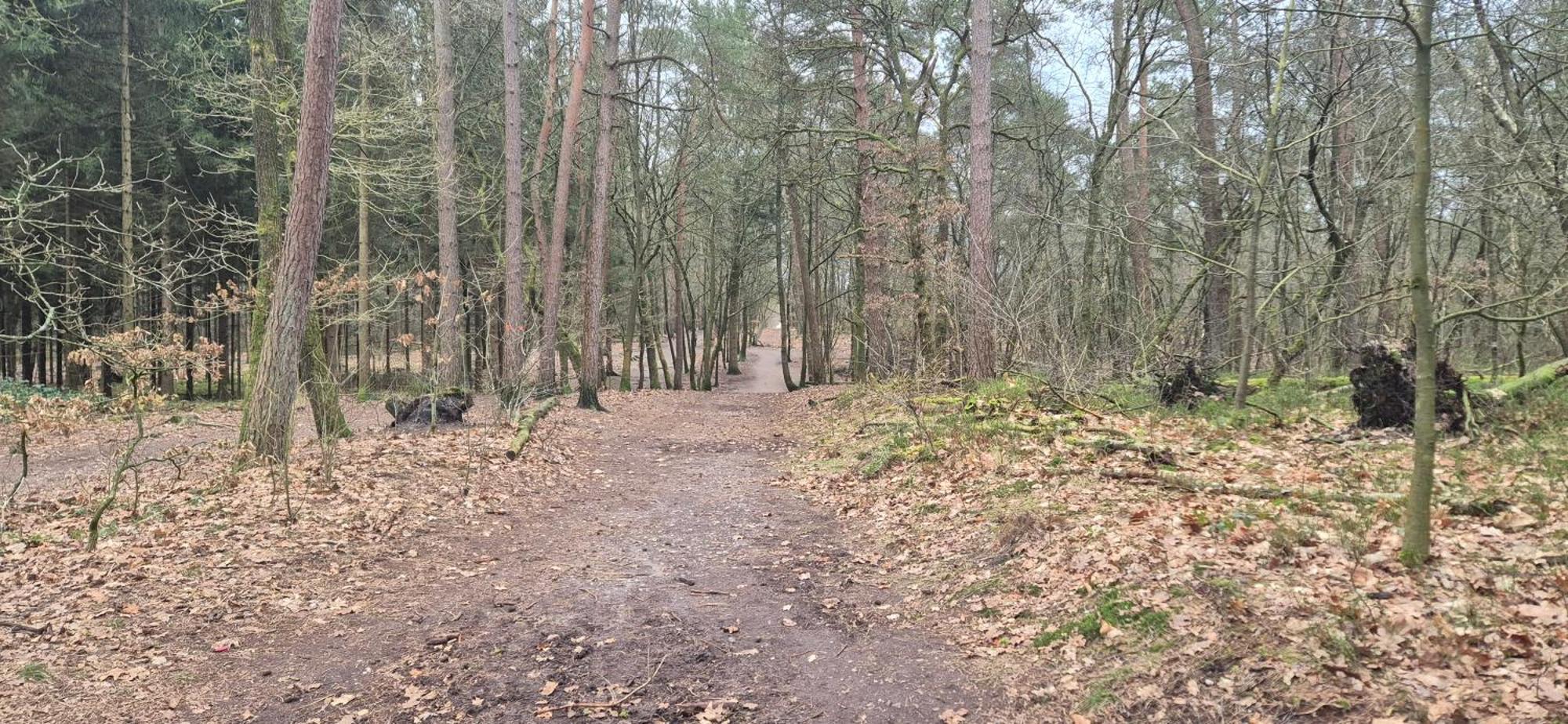 Het Veluwse Boshuisje Knus Chalet Met Omheinde Tuin Op De Veluwe Гундерло Екстер'єр фото