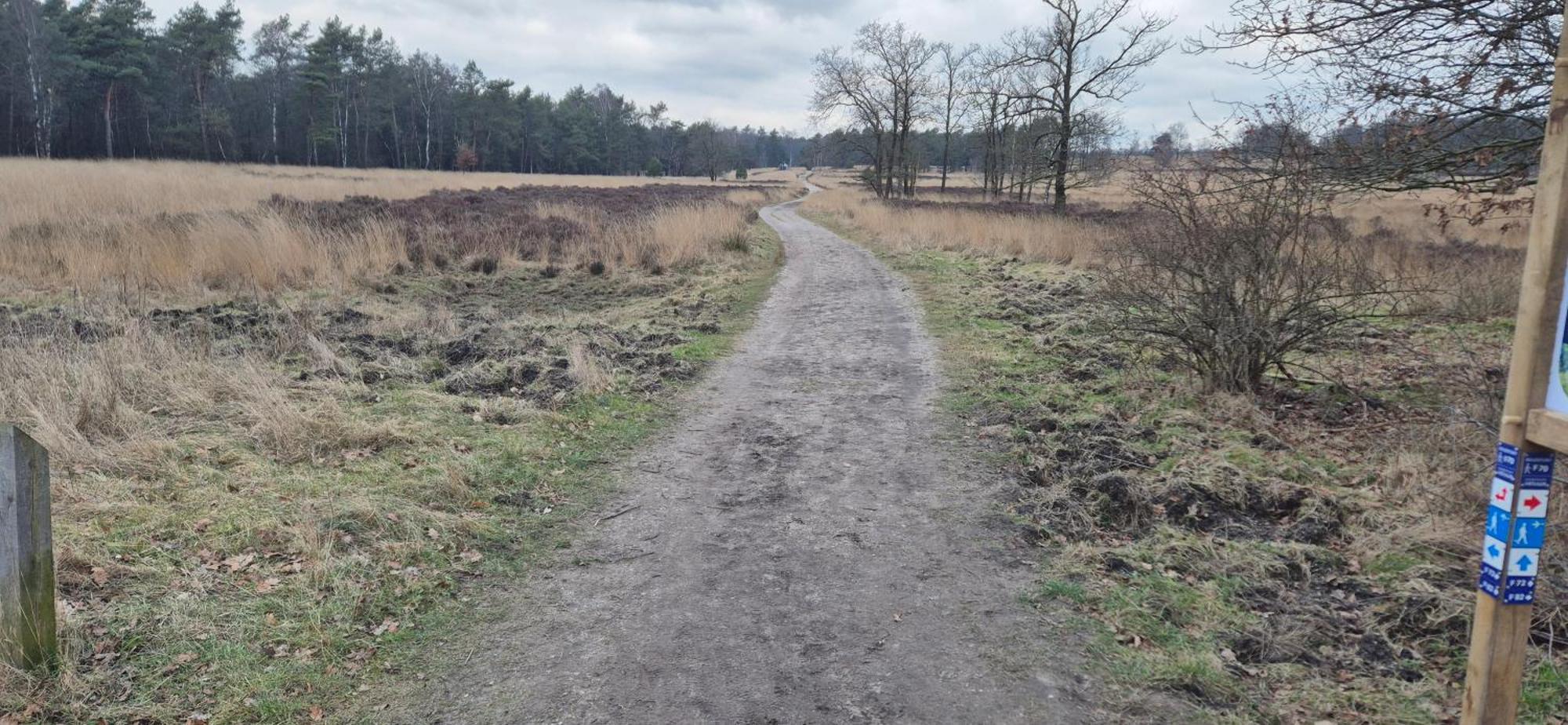 Het Veluwse Boshuisje Knus Chalet Met Omheinde Tuin Op De Veluwe Гундерло Екстер'єр фото