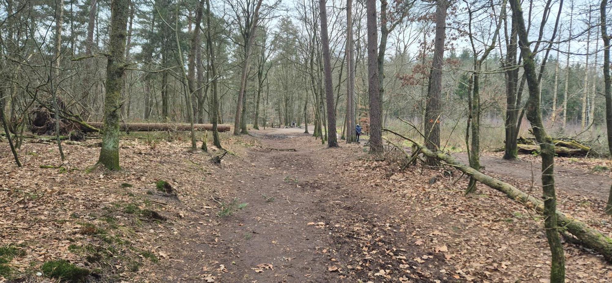 Het Veluwse Boshuisje Knus Chalet Met Omheinde Tuin Op De Veluwe Гундерло Екстер'єр фото