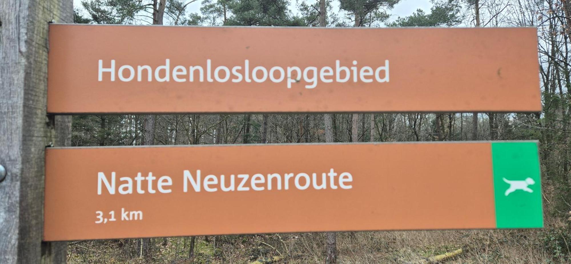 Het Veluwse Boshuisje Knus Chalet Met Omheinde Tuin Op De Veluwe Гундерло Екстер'єр фото