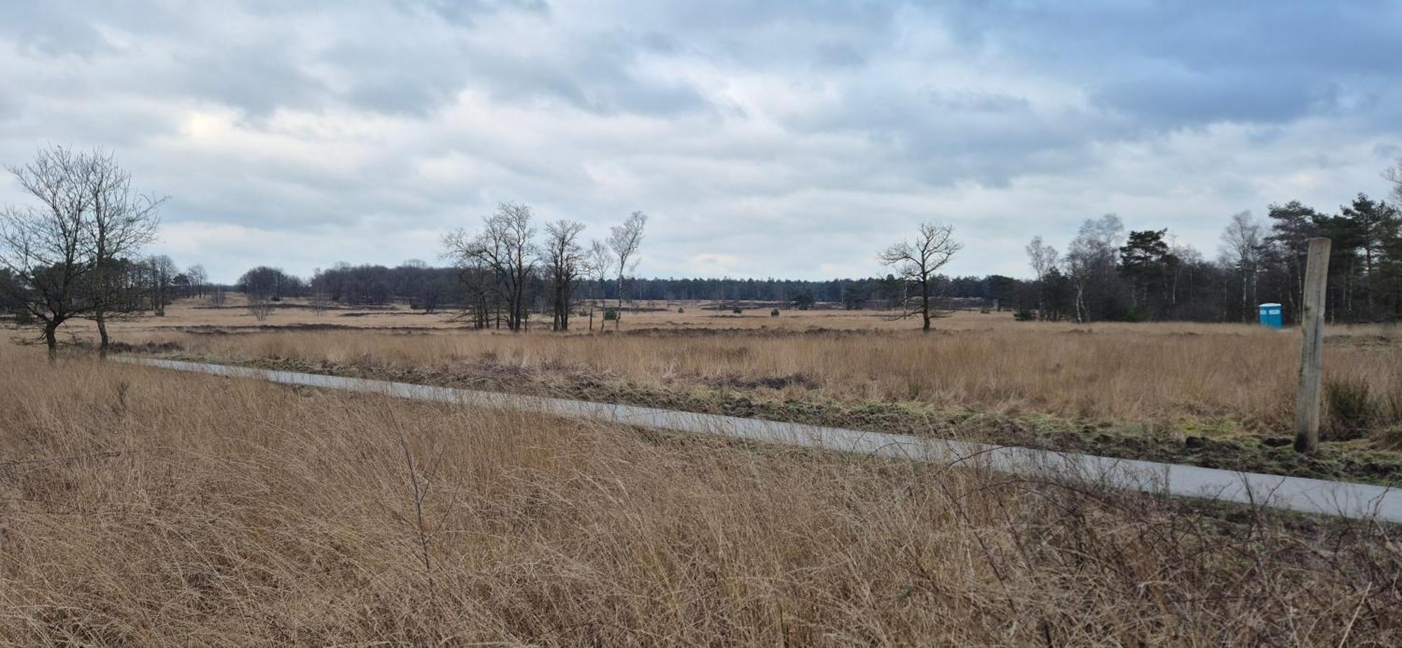 Het Veluwse Boshuisje Knus Chalet Met Omheinde Tuin Op De Veluwe Гундерло Екстер'єр фото